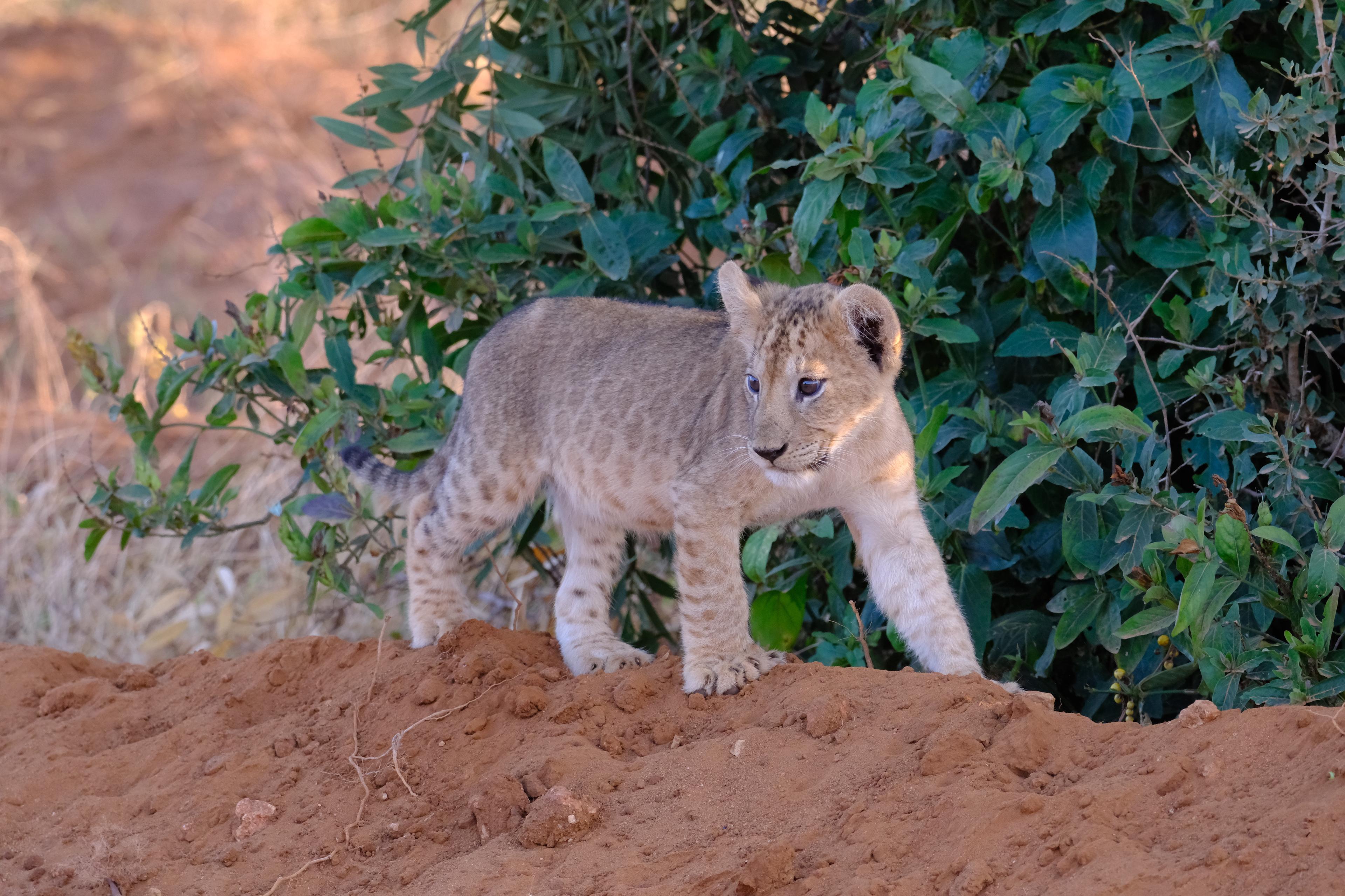 Serene Beach Retreat
