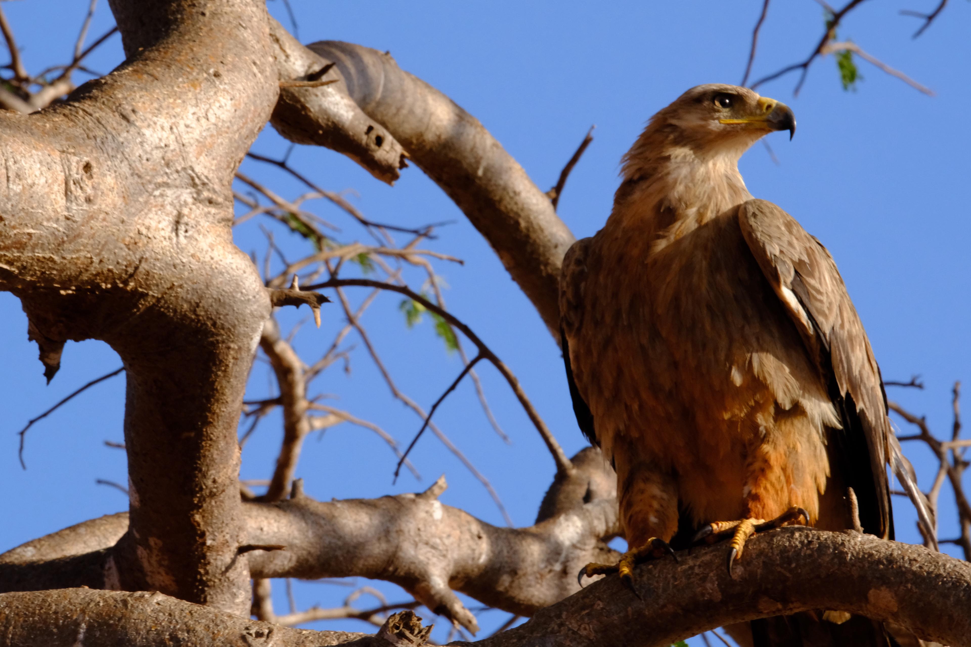 Serene Beach Retreat