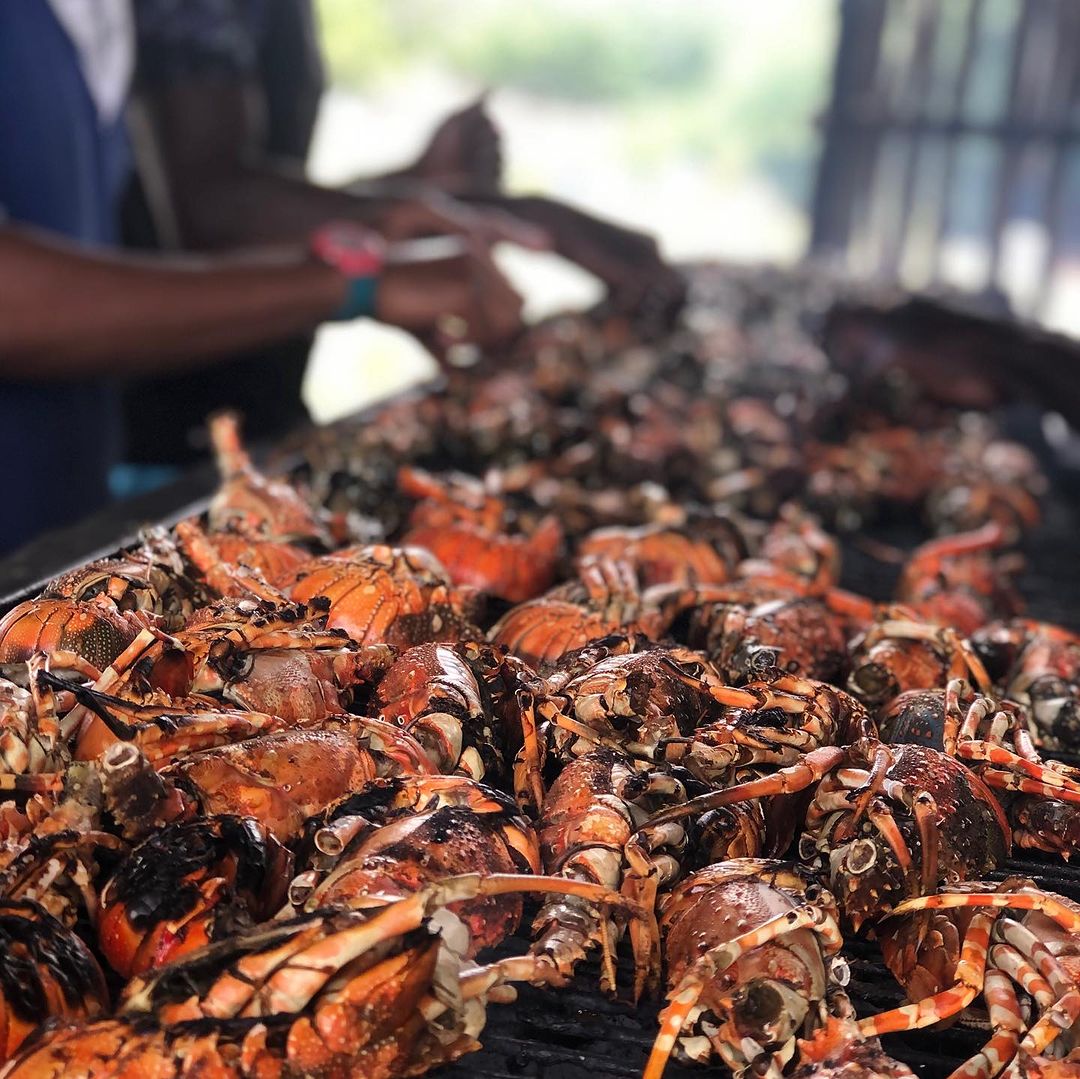 Serene Beach Retreat